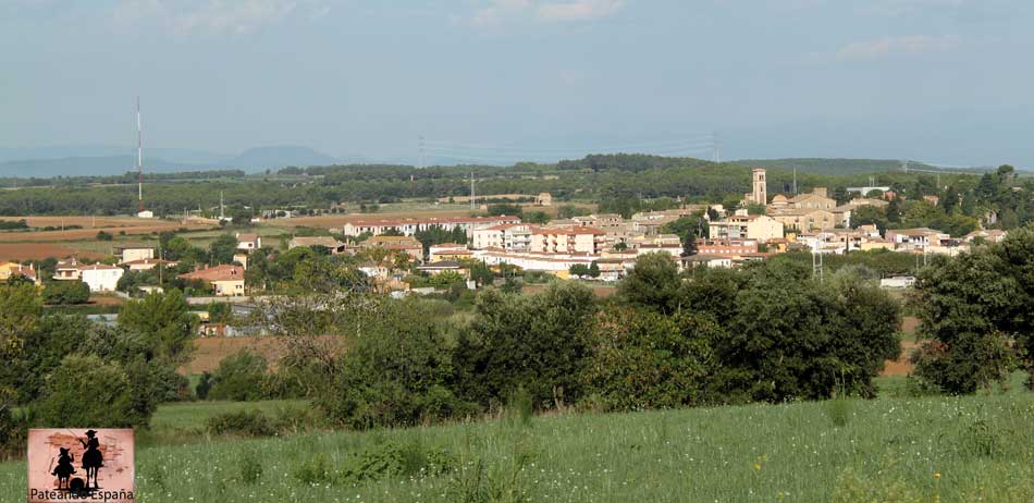 Saus, Camallera i Llampaies